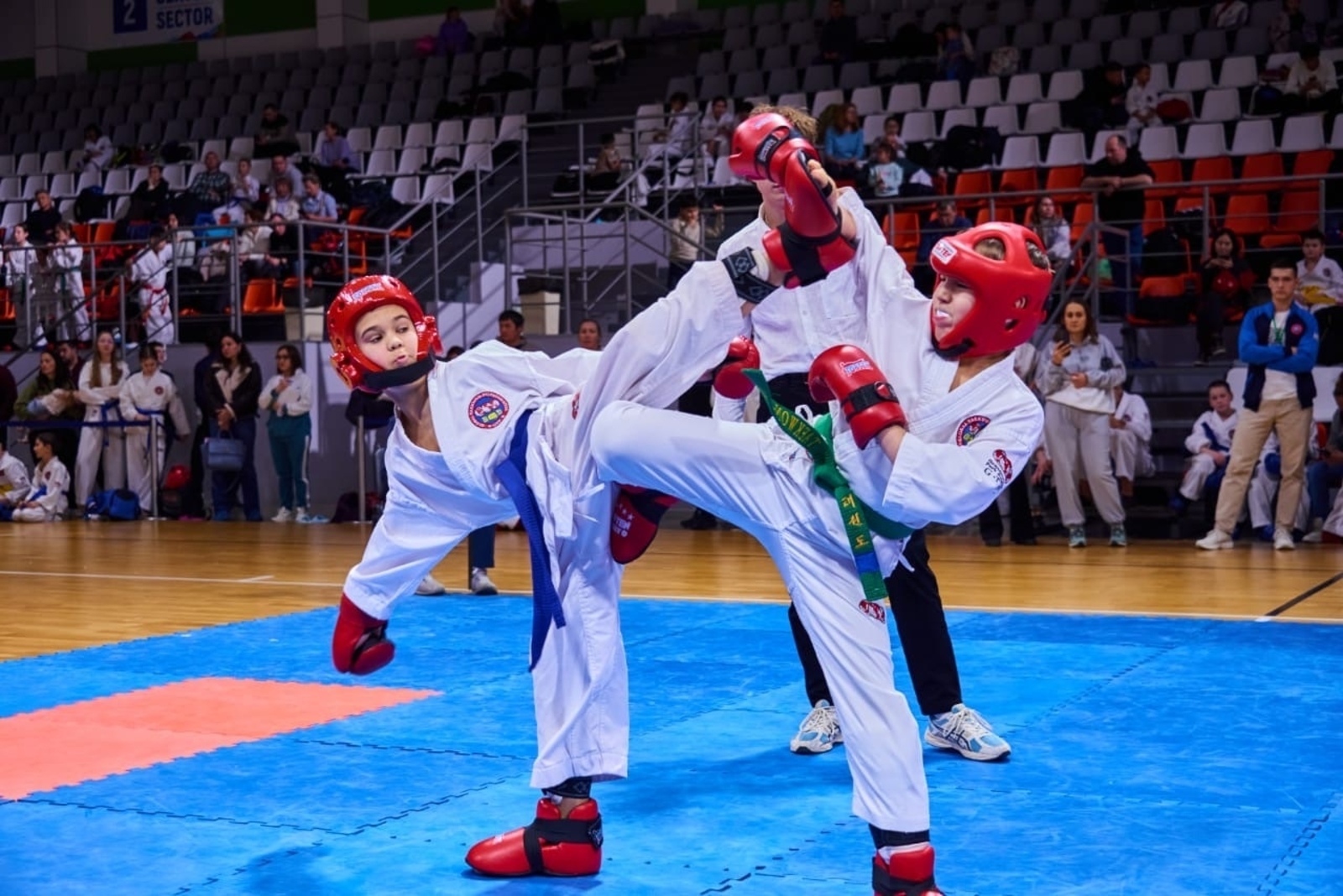 Краснокама командаһы тхэквондо буйынса Республика Чемпионатында наградалар йыйҙы